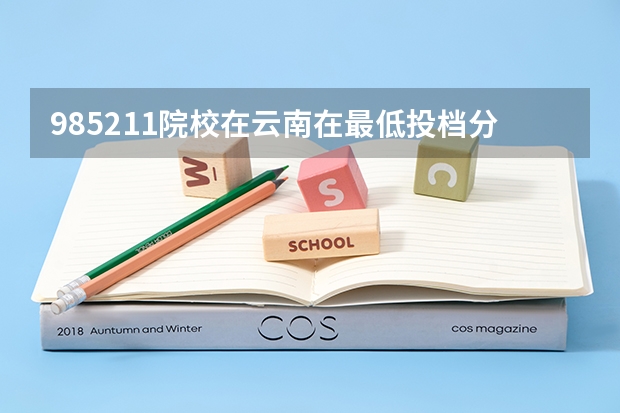 985/211院校在云南在最低投档分数线 多少分能上名校