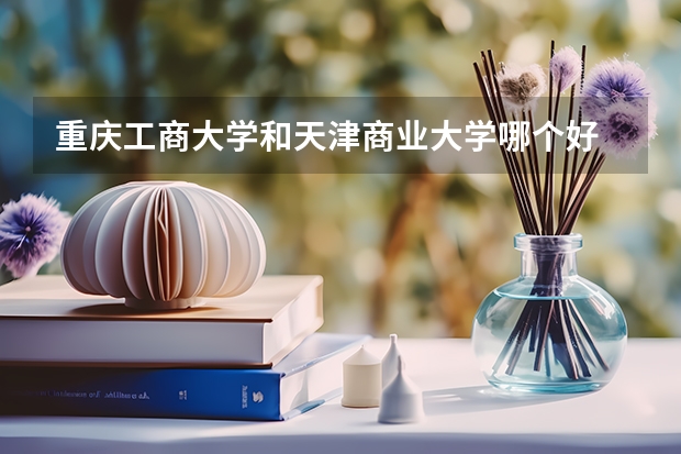重庆工商大学和天津商业大学哪个好