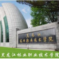 黑龙江林业职业技术学院logo图片