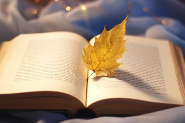 广西物流职业技术学院的教学质量怎么样？