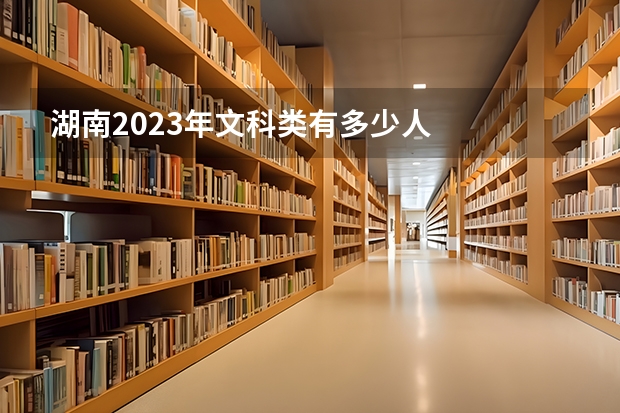 湖南2023年文科类有多少人
