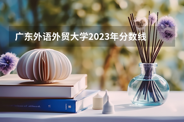广东外语外贸大学2023年分数线 广东外语外贸大学研究生复试分数线