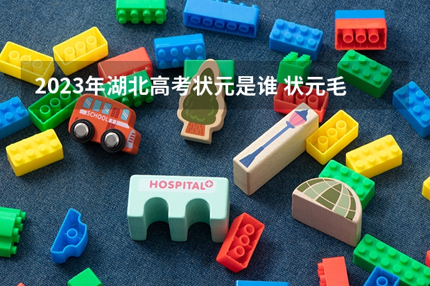 2023年湖北高考状元是谁 状元毛超简介