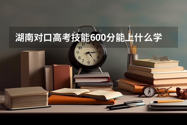 湖南对口高考技能600分能上什么学校