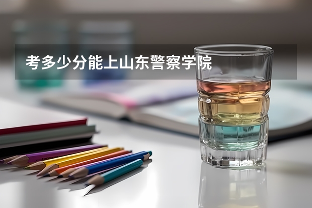 考多少分能上山东警察学院