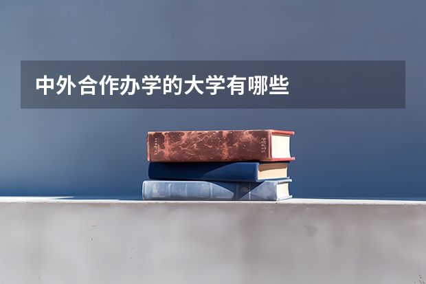 中外合作办学的大学有哪些