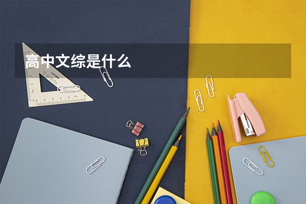 高中文综是什么