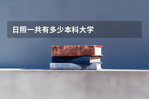 日照一共有多少本科大学