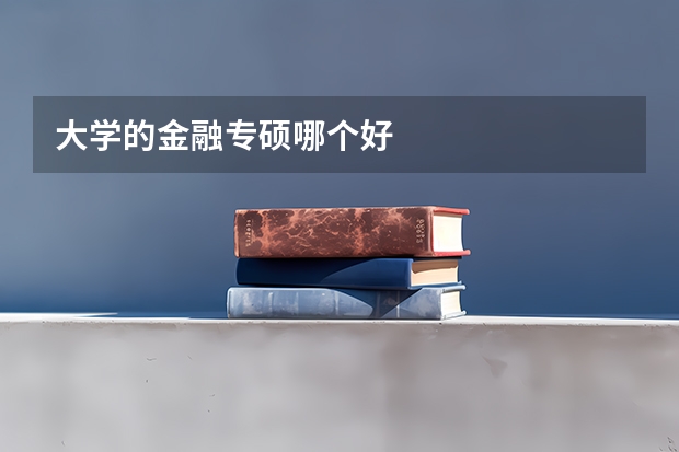 大学的金融专硕哪个好