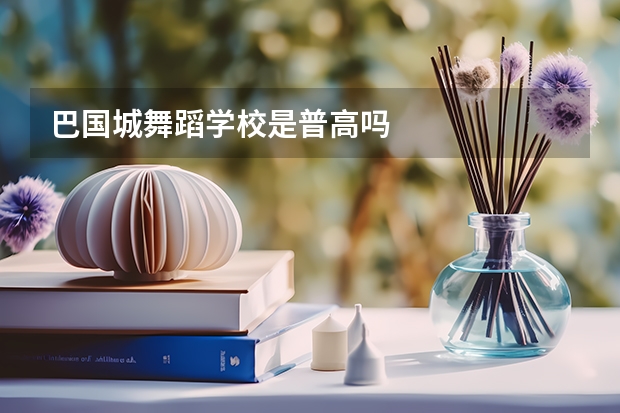 巴国城舞蹈学校是普高吗