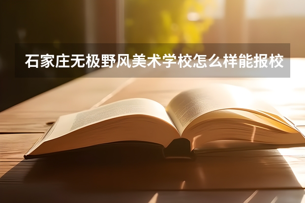 石家庄无极野风美术学校怎么样能报校考吗?