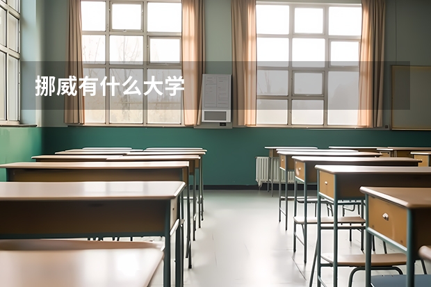 挪威有什么大学
