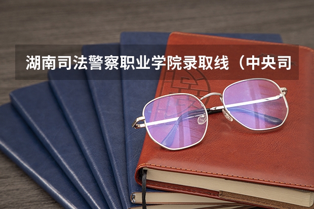 湖南司法警察职业学院录取线（中央司法警察学校山东各专业录取分数）