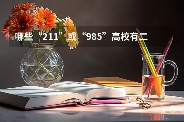 哪些“211”或“985”高校有二本专业？