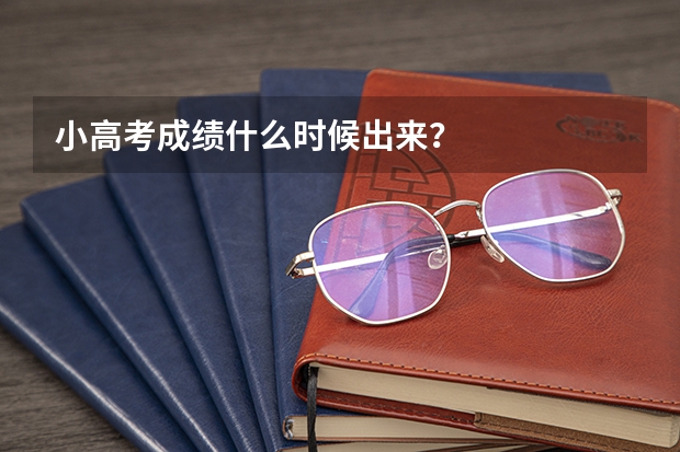 小高考成绩什么时候出来？
