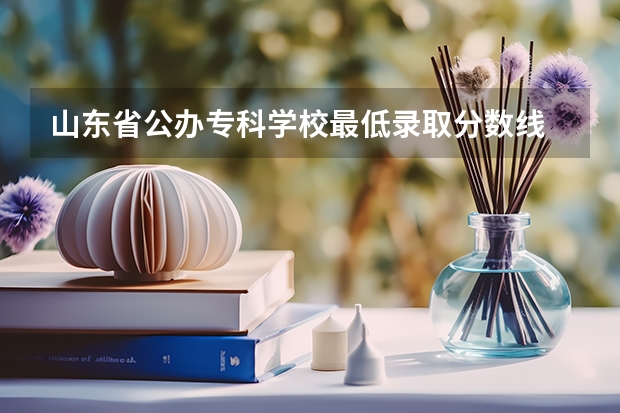 山东省公办专科学校最低录取分数线 2023山东专科大学录取分数线