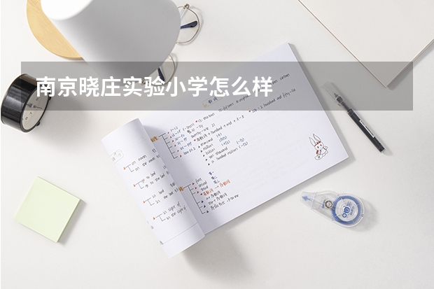 南京晓庄实验小学怎么样