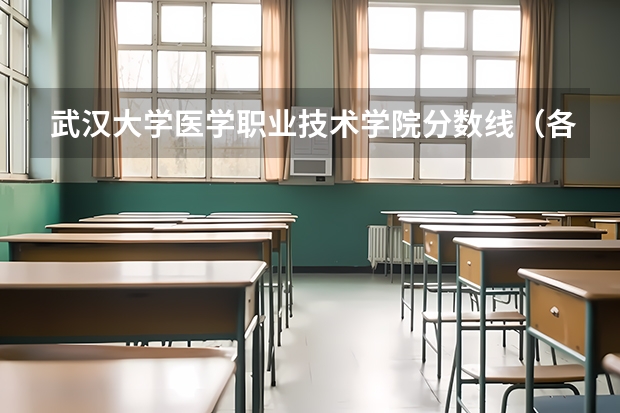 武汉大学医学职业技术学院分数线（各大学录取分数线）