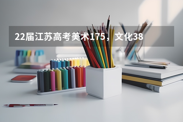22届江苏高考美术175，文化380，大概能上什么学校啊？