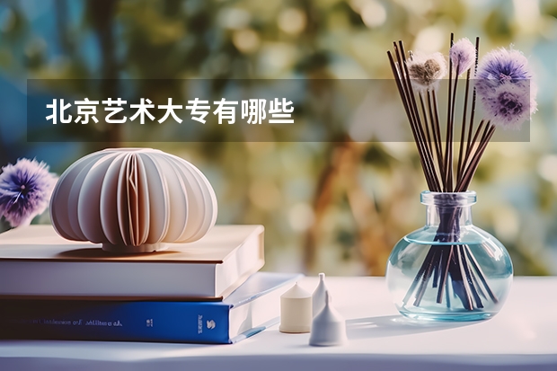 北京艺术大专有哪些