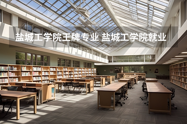 盐城工学院王牌专业 盐城工学院就业率高吗