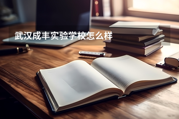 武汉成丰实验学校怎么样