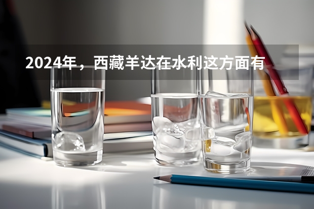 2024年，西藏羊达在水利这方面有什么进步吗？