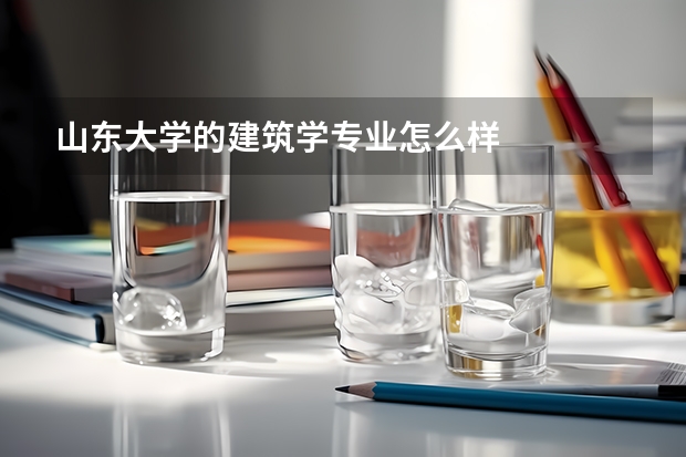 山东大学的建筑学专业怎么样