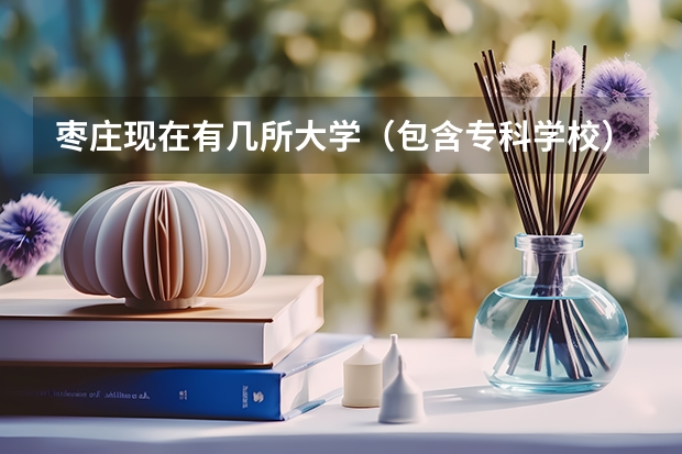 枣庄现在有几所大学（包含专科学校），名字是什么