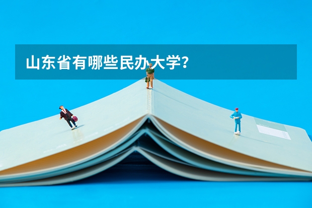 山东省有哪些民办大学？