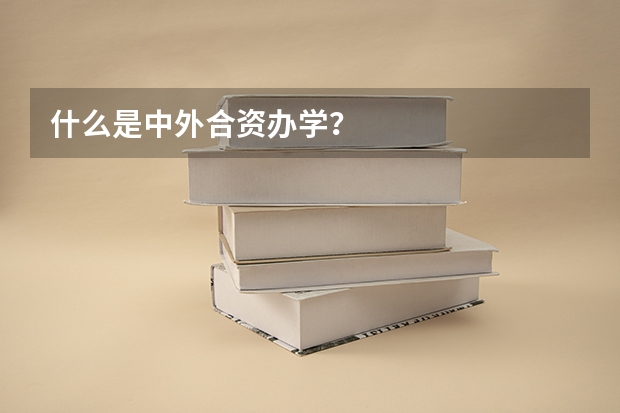 什么是中外合资办学？