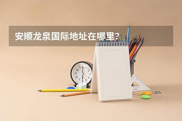 安顺龙泉国际地址在哪里？