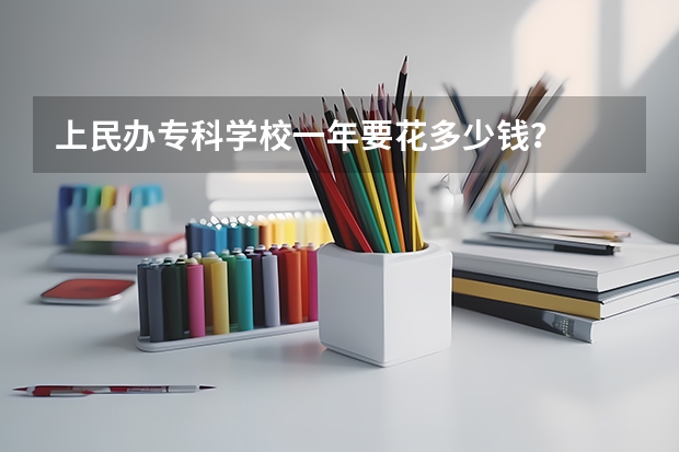 上民办专科学校一年要花多少钱？
