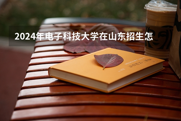2024年电子科技大学在山东招生怎么样