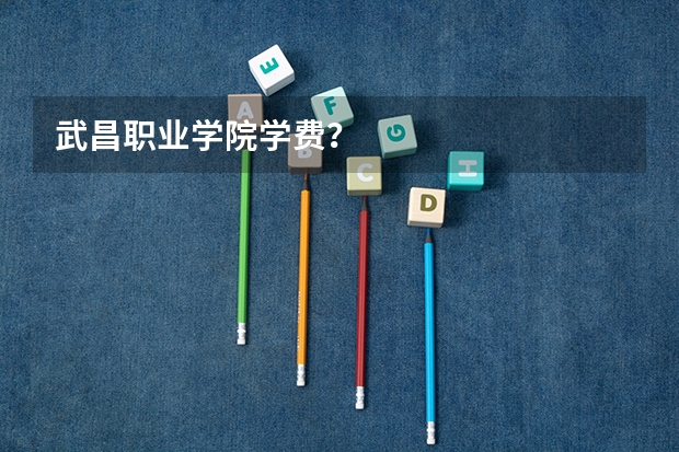 武昌职业学院学费？