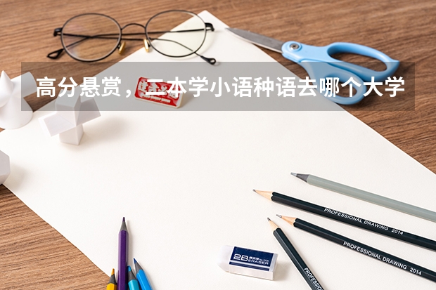 高分悬赏，二本学小语种语去哪个大学好