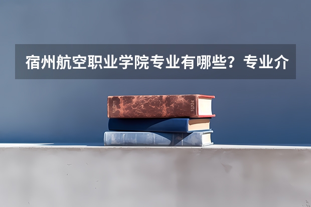 宿州航空职业学院专业有哪些？专业介绍