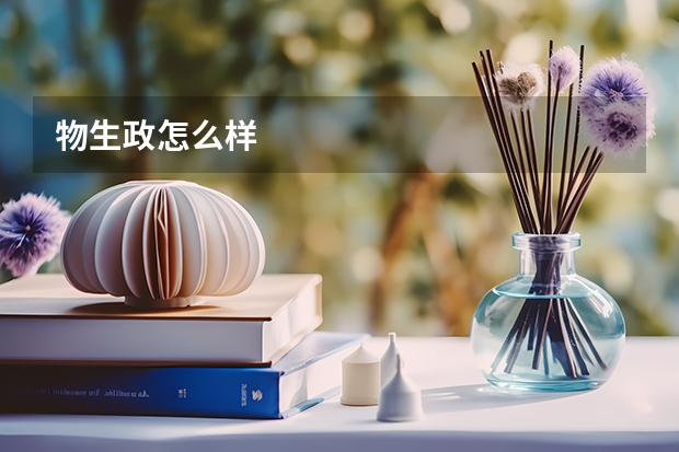 物生政怎么样
