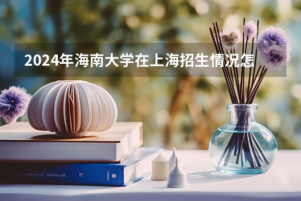 2024年海南大学在上海招生情况怎么样