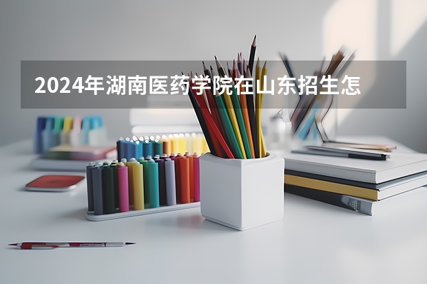 2024年湖南医药学院在山东招生怎么样