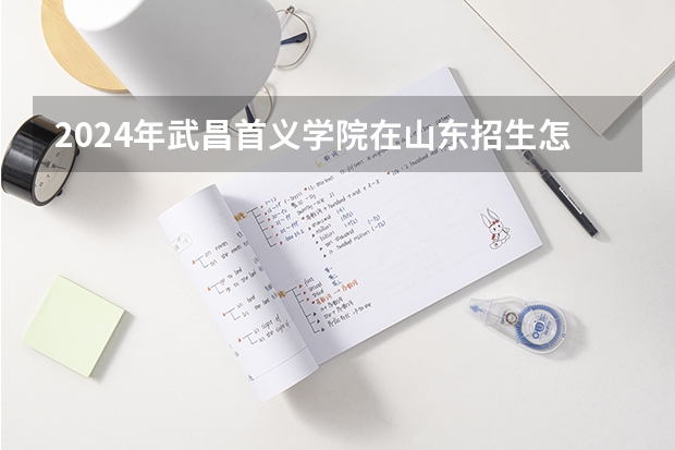 2024年武昌首义学院在山东招生怎么样