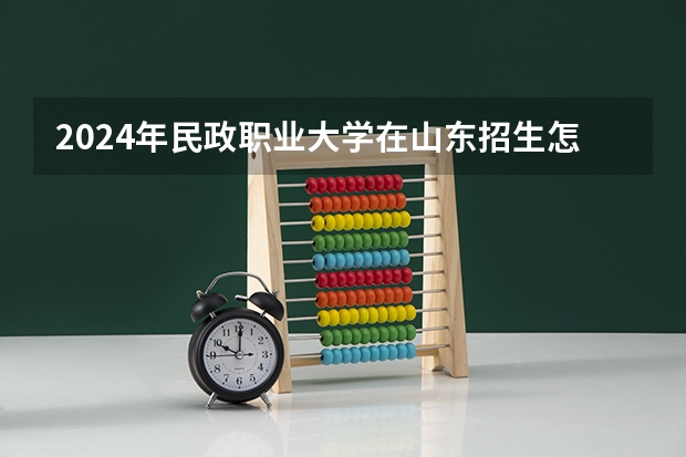 2024年民政职业大学在山东招生怎么样