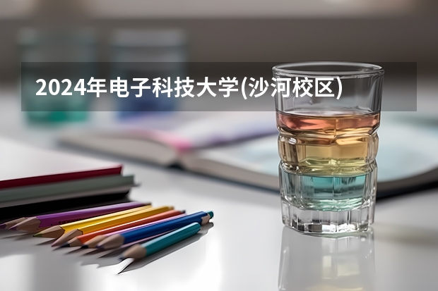 2024年电子科技大学(沙河校区)在山东招生怎么样