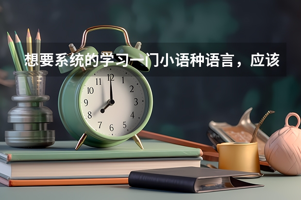 想要系统的学习一门小语种语言，应该选择什么院校？