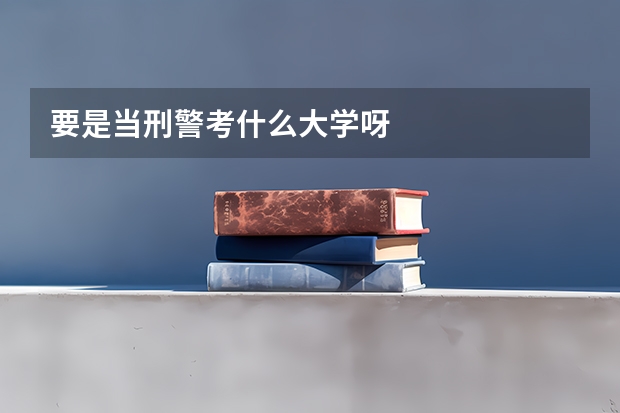 要是当刑警考什么大学呀