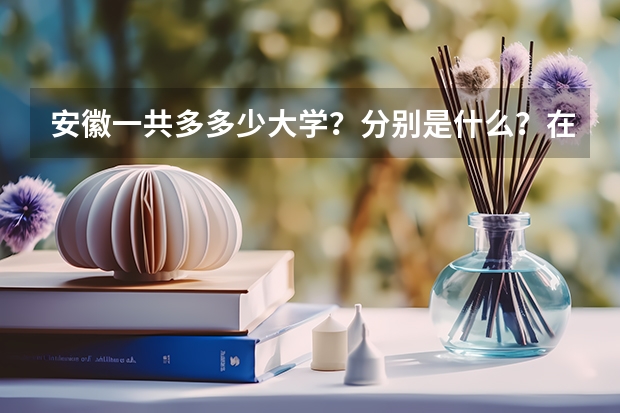 安徽一共多多少大学?分别是什么?在哪里?什么学历?