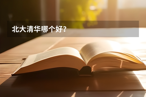 北大清华哪个好？