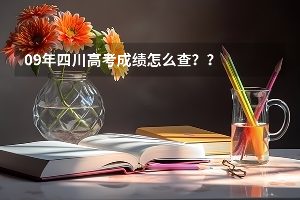 09年四川高考成绩怎么查？？