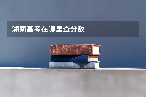 湖南高考在哪里查分数
