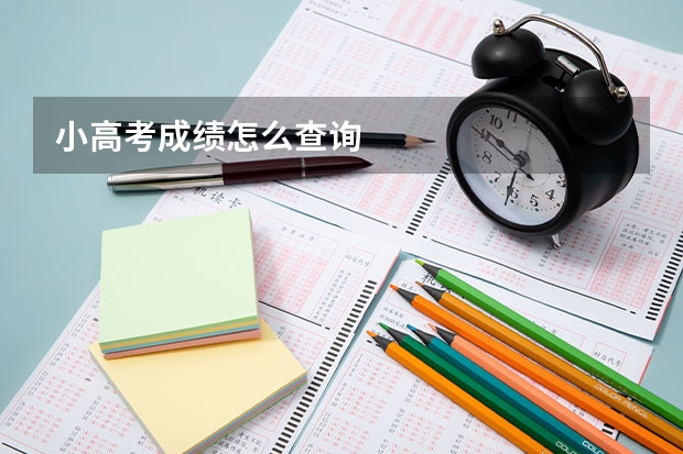 小高考成绩怎么查询